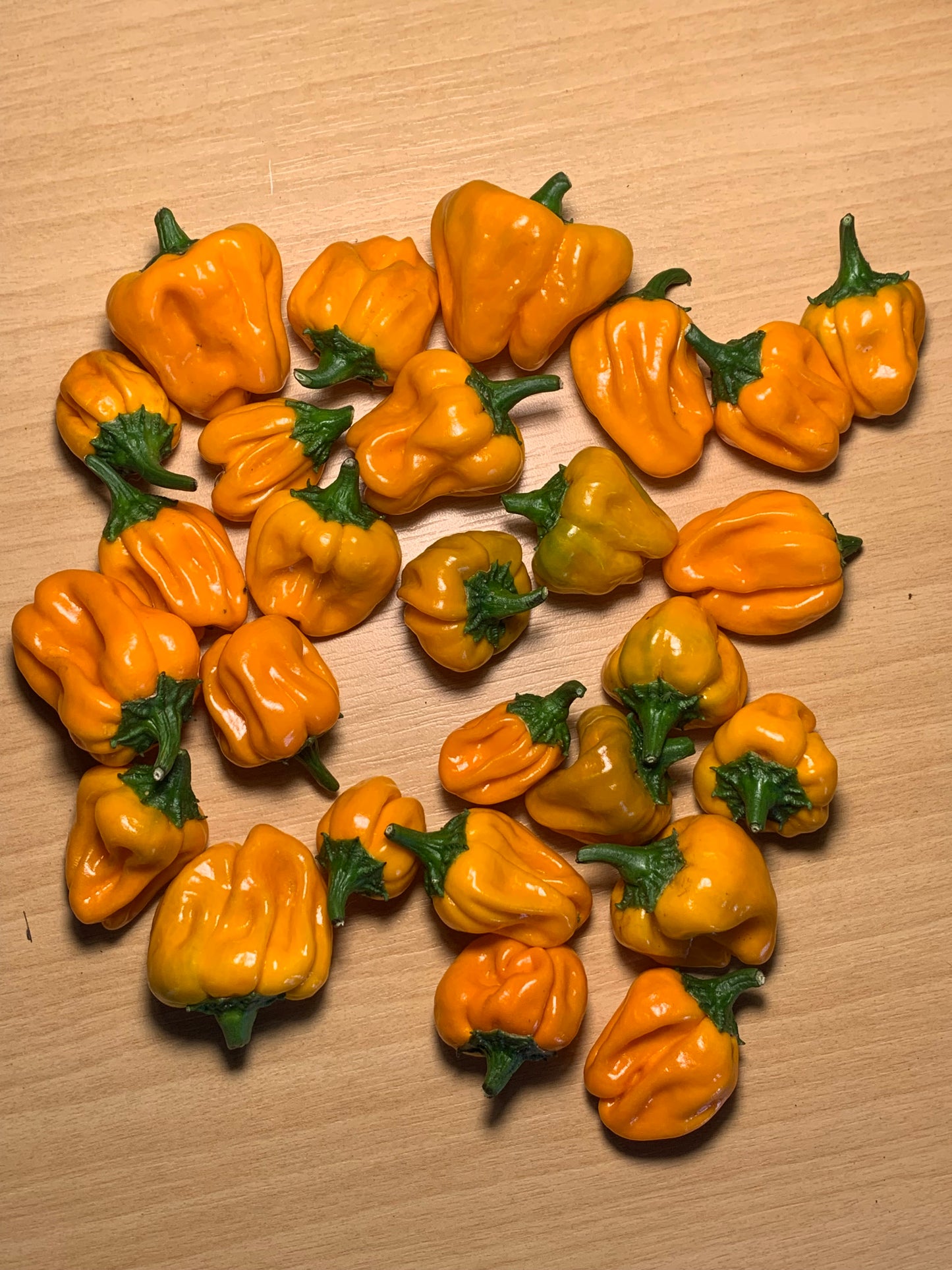 Yellow Scotch Bonnet Seeds