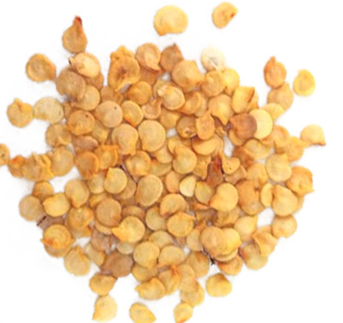 Yellow Scotch Bonnet Seeds